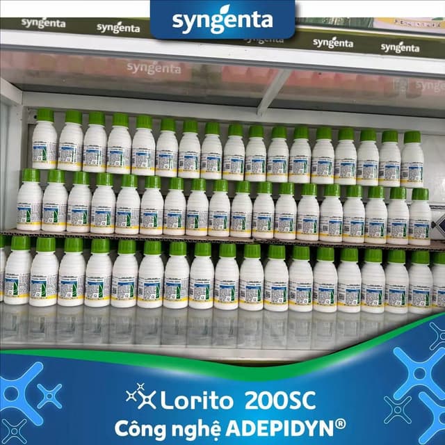Lorito 200SC
