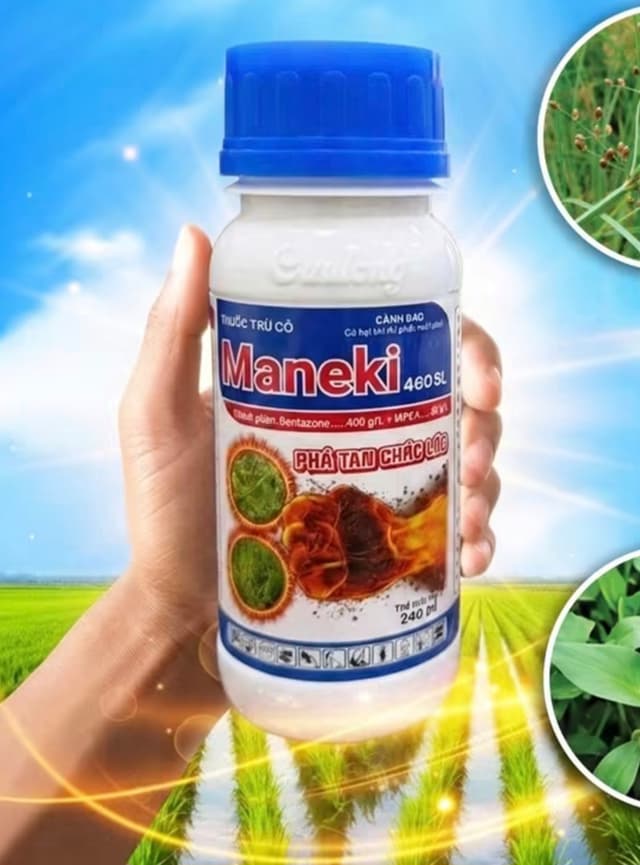 Maneki 460SL