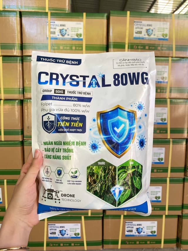 Crystal 80WG