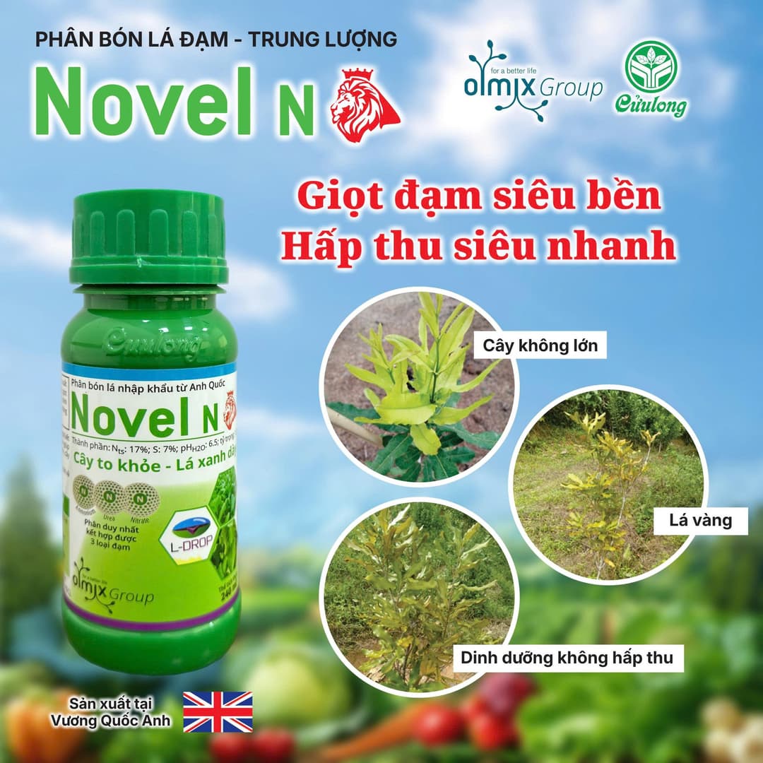 nav-img